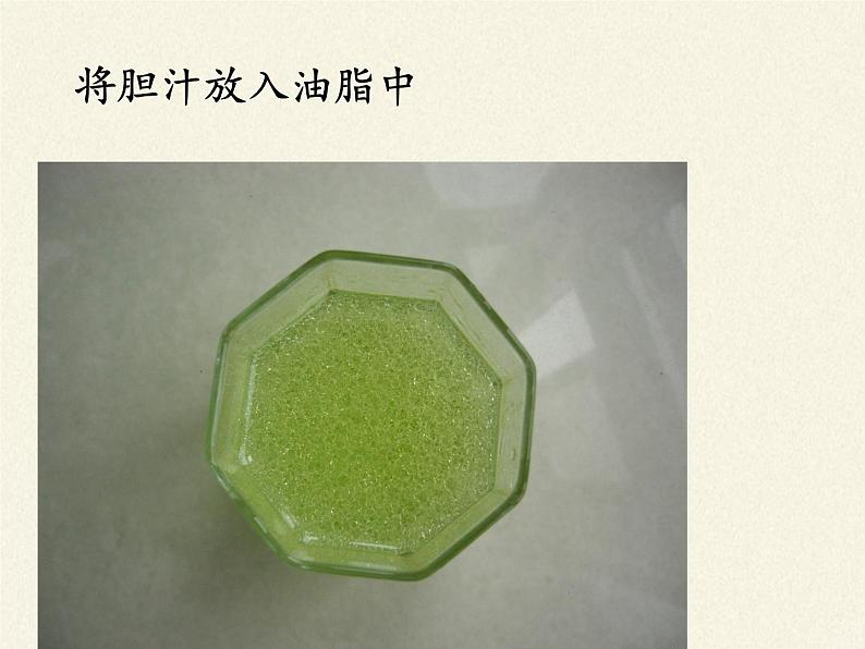北师大版生物七年级下册 第8章 第2节 食物的消化和营养物质的吸收(8)(课件)第6页