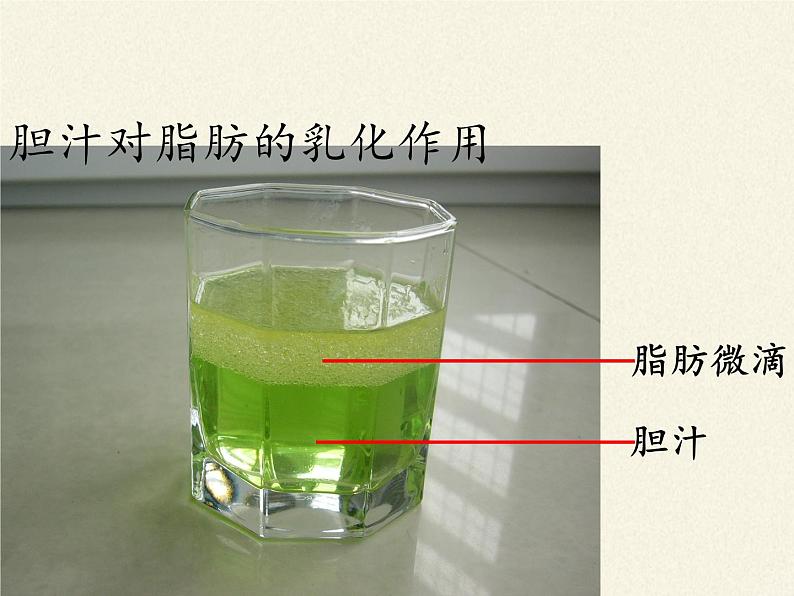 北师大版生物七年级下册 第8章 第2节 食物的消化和营养物质的吸收(8)(课件)第7页