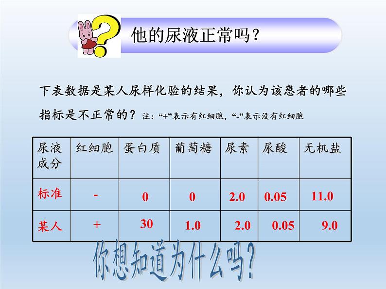 北师大版生物七年级下册 第11章 第2节 尿的形成与排出(9)(课件)第2页