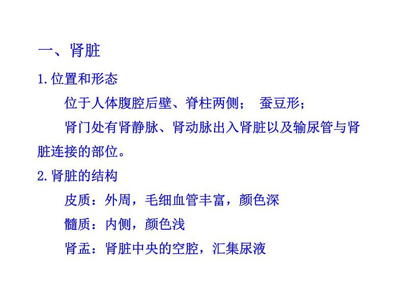 北师大版生物七年级下册 第11章 第2节 尿的形成与排出_(课件)08