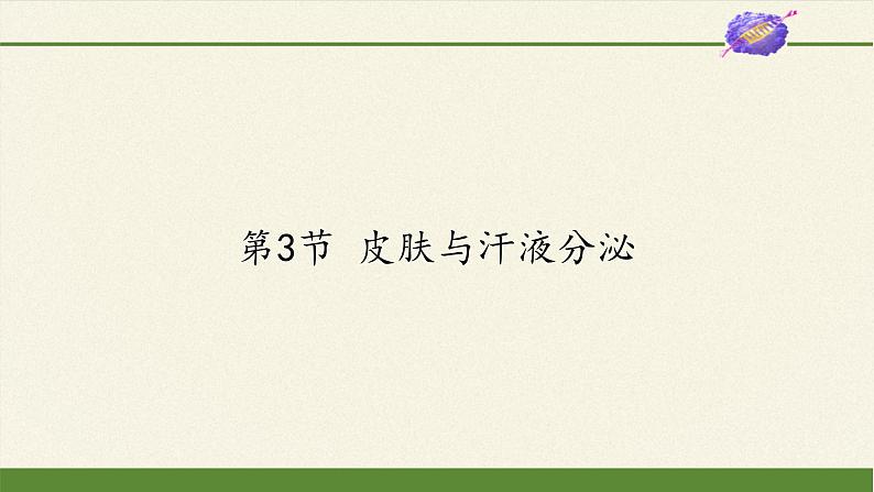 北师大版生物七年级下册 第11章 第3节 皮肤与汗液分泌(1)(课件)第1页