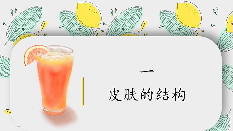 北师大版生物七年级下册 第11章 第3节 皮肤与汗液分泌(1)(课件)第6页