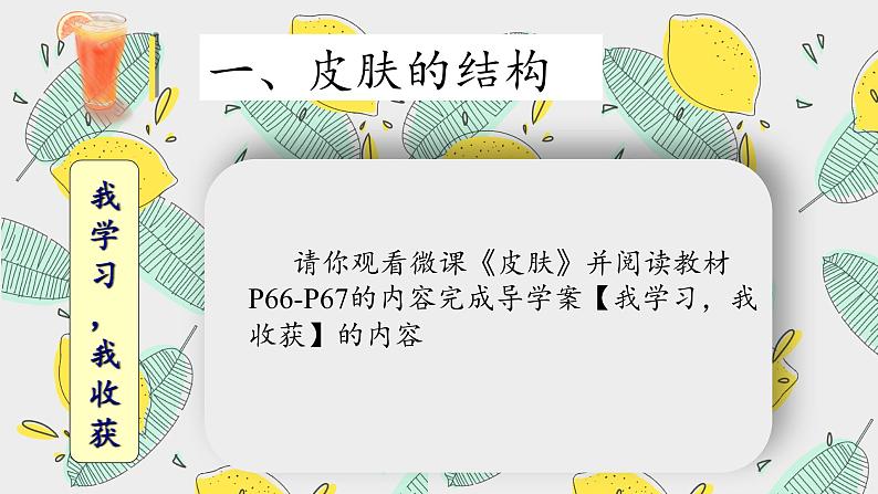 北师大版生物七年级下册 第11章 第3节 皮肤与汗液分泌(1)(课件)第7页