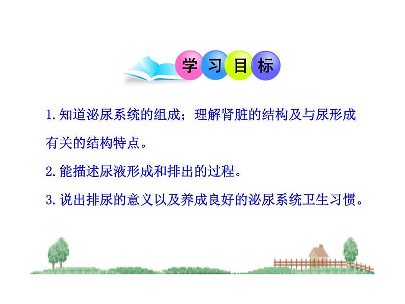 北师大版生物七年级下册 第11章 第2节 尿的形成与排出_(1)(课件)第4页
