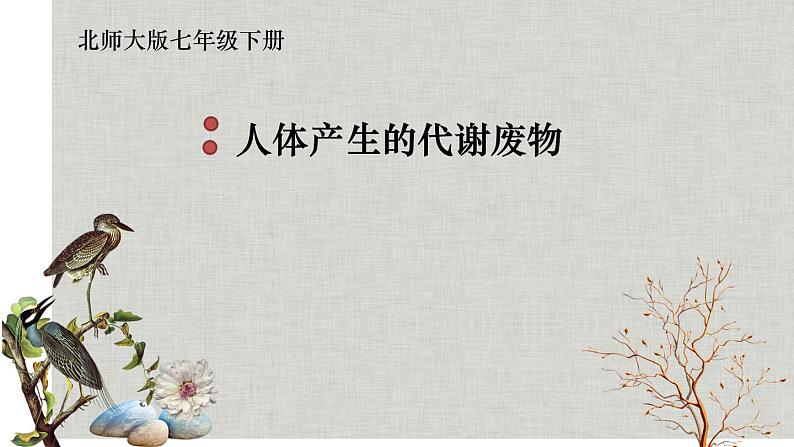 北师大版生物七年级下册 第11章 第1节 人体产生的代谢废物(北京师范大学出版社)(1)(课件)第1页