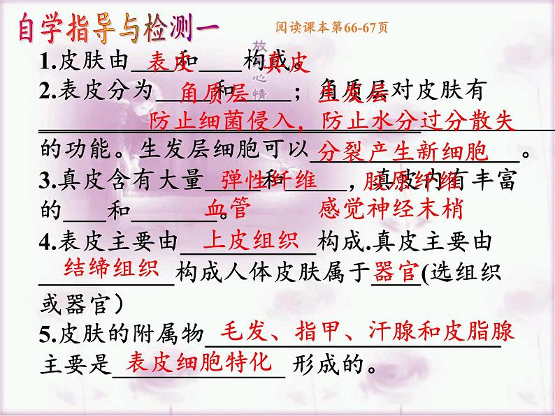 北师大版生物七年级下册 第11章 第3节 皮肤与汗液分泌(8)(课件)第4页