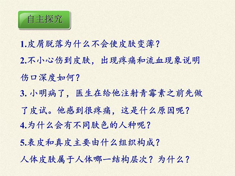 北师大版生物七年级下册 第11章 第3节 皮肤与汗液分泌(8)(课件)第7页