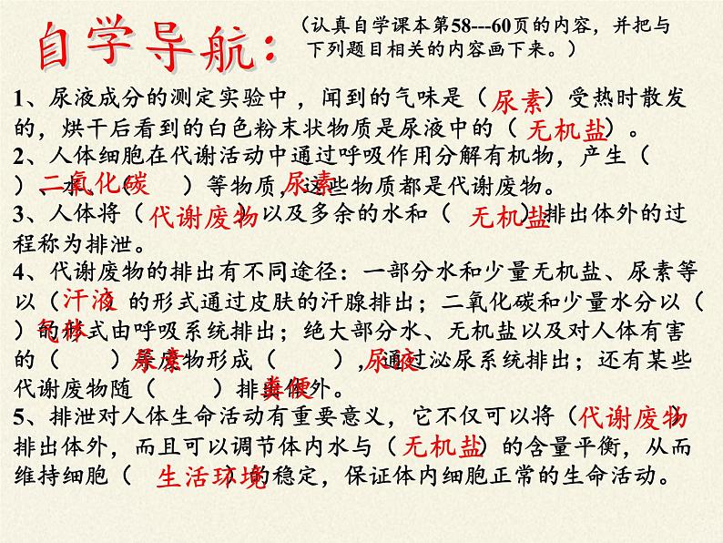 北师大版生物七年级下册 第11章 第1节 人体产生的代谢废物(9)(课件)第4页