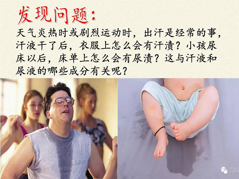 北师大版生物七年级下册 第11章 第1节 人体产生的代谢废物(9)(课件)第5页