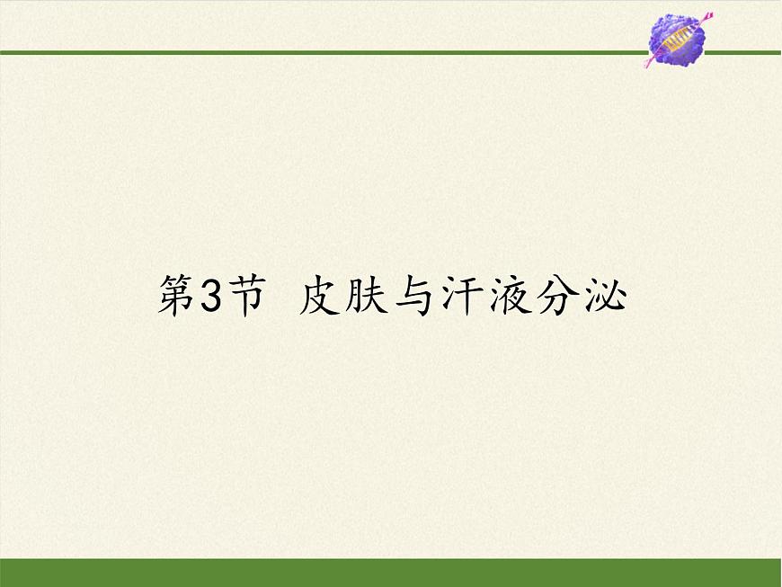 北師大版生物七年級下冊 第11章 第3節(jié) 皮膚與汗液分泌(19)(課件)第1頁