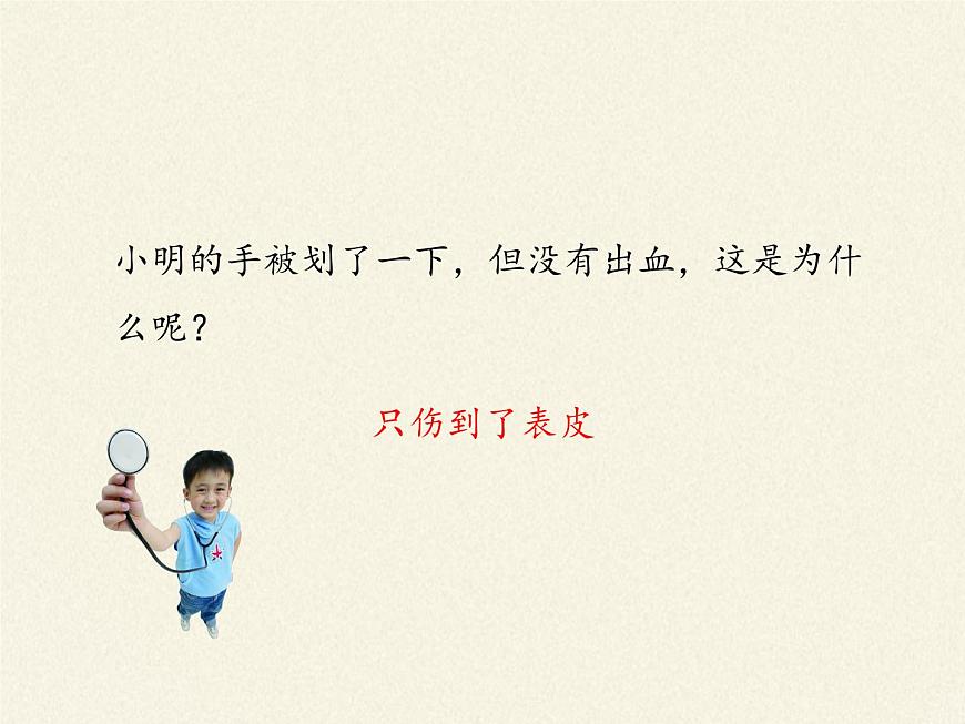 北師大版生物七年級下冊 第11章 第3節(jié) 皮膚與汗液分泌(19)(課件)第7頁