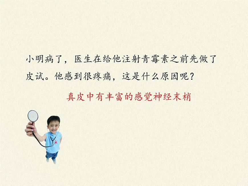 北師大版生物七年級下冊 第11章 第3節(jié) 皮膚與汗液分泌(19)(課件)第8頁