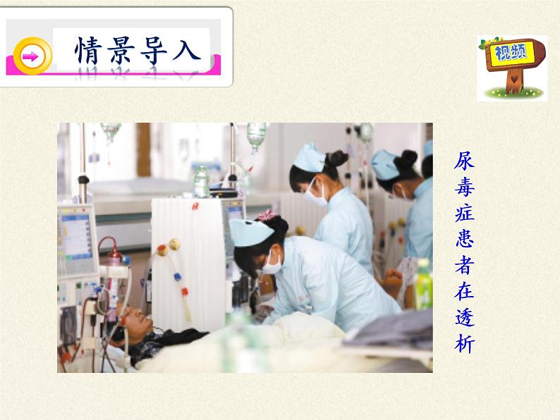 北师大版生物七年级下册 第11章 第2节 尿的形成与排出(12)(课件)第4页
