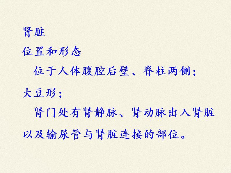 北师大版生物七年级下册 第11章 第2节 尿的形成与排出(12)(课件)第8页