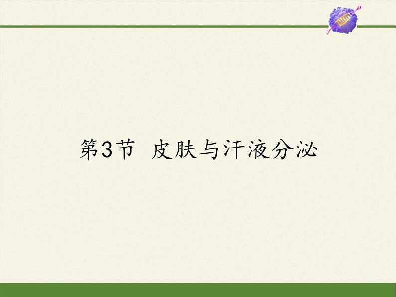 北师大版生物七年级下册 第11章 第3节 第3节 皮肤与汗液分泌(课件)第1页