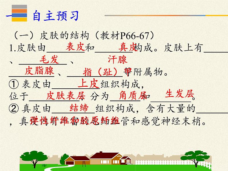 北师大版生物七年级下册 第11章 第3节 第3节 皮肤与汗液分泌(课件)第3页