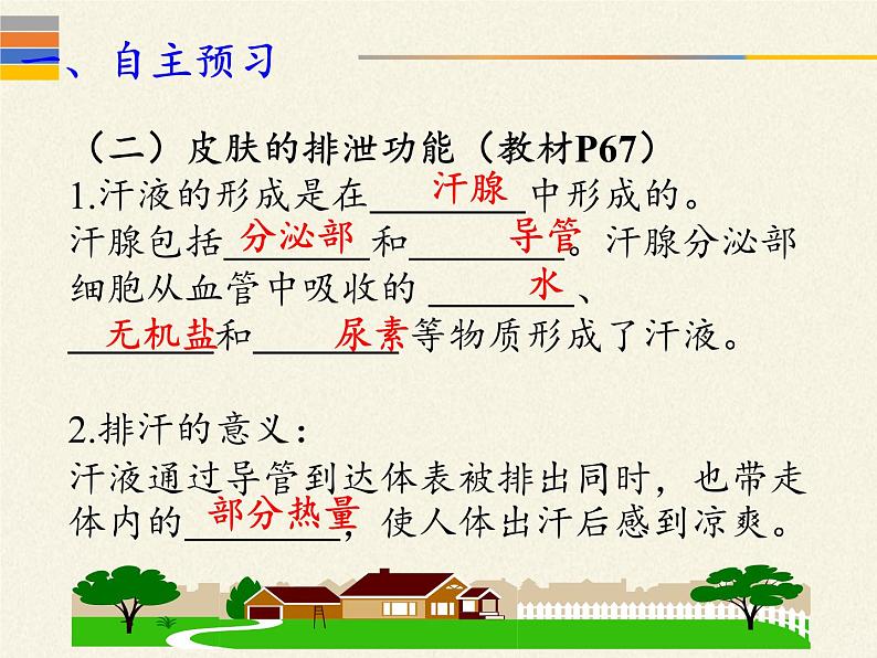 北师大版生物七年级下册 第11章 第3节 第3节 皮肤与汗液分泌(课件)第4页
