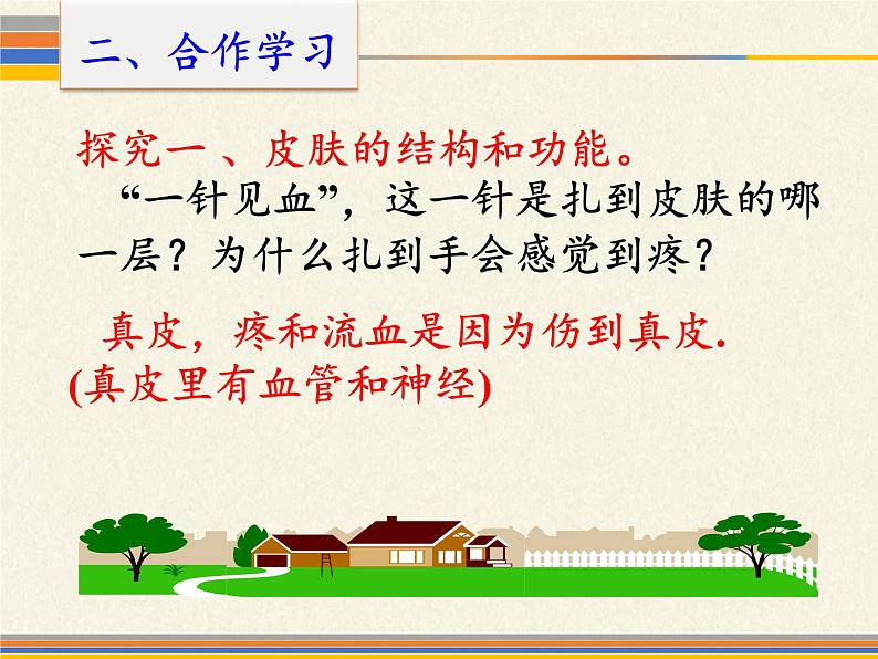 北师大版生物七年级下册 第11章 第3节 第3节 皮肤与汗液分泌(课件)第6页
