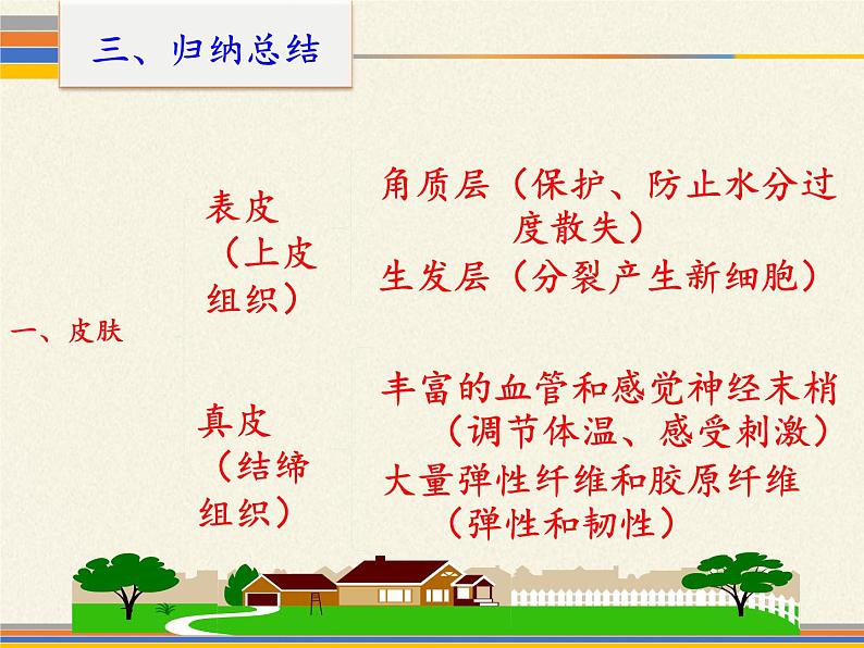 北师大版生物七年级下册 第11章 第3节 第3节 皮肤与汗液分泌(课件)第8页