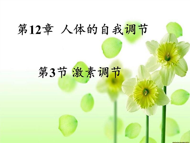 北师大版生物七年级下册 第12章 第3节 激素调节(13)(课件)第2页