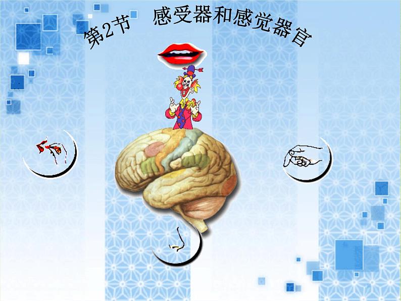 北师大版生物七年级下册 第12章 第2节 感受器和感觉器官(4)(课件)第1页
