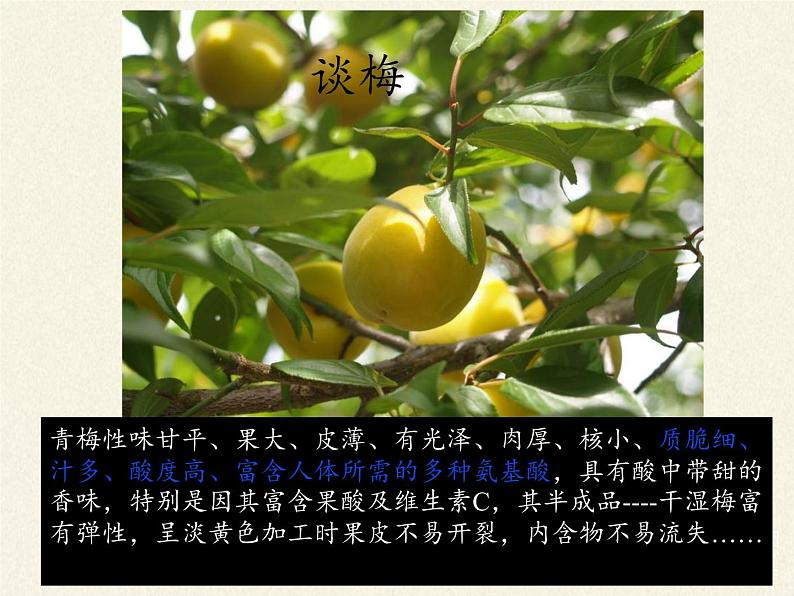 北师大版生物七年级下册 第12章 第1节 神经系统与神经调节(1)(课件)08