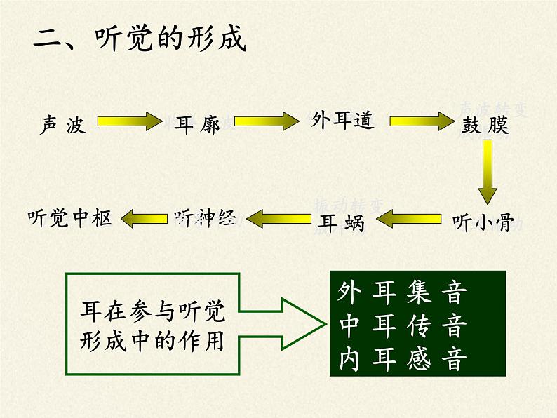北师大版生物七年级下册 第12章 第2节 感受器和感觉器官(9)(课件)第8页