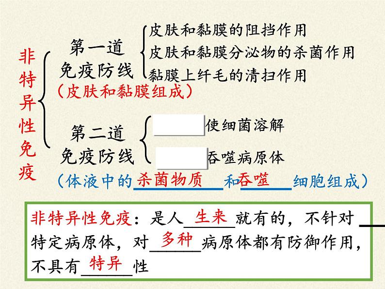 北师大版生物七年级下册 第13章 第3节 人体免疫(13)(课件)第8页