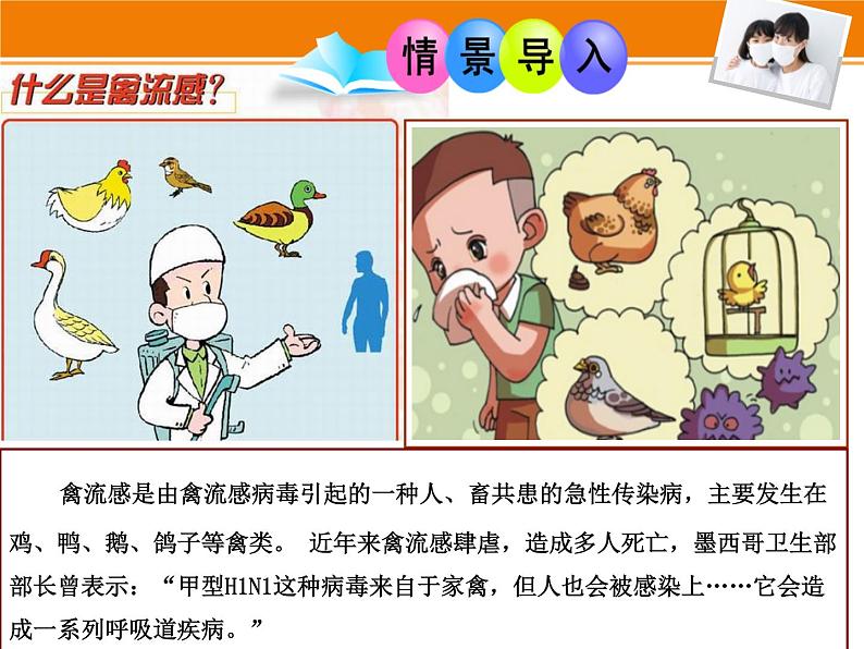 北师大版生物七年级下册 第13章 第2节 预防传染病(课件)03