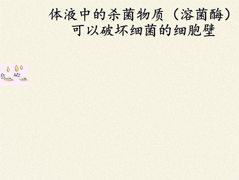 北师大版生物七年级下册 第13章 第3节 人体免疫(9)(课件)07