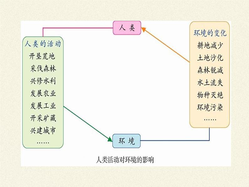 北师大版生物七年级下册 第14章 第1节 人类活动对生物圈的影响(5)(课件)第5页