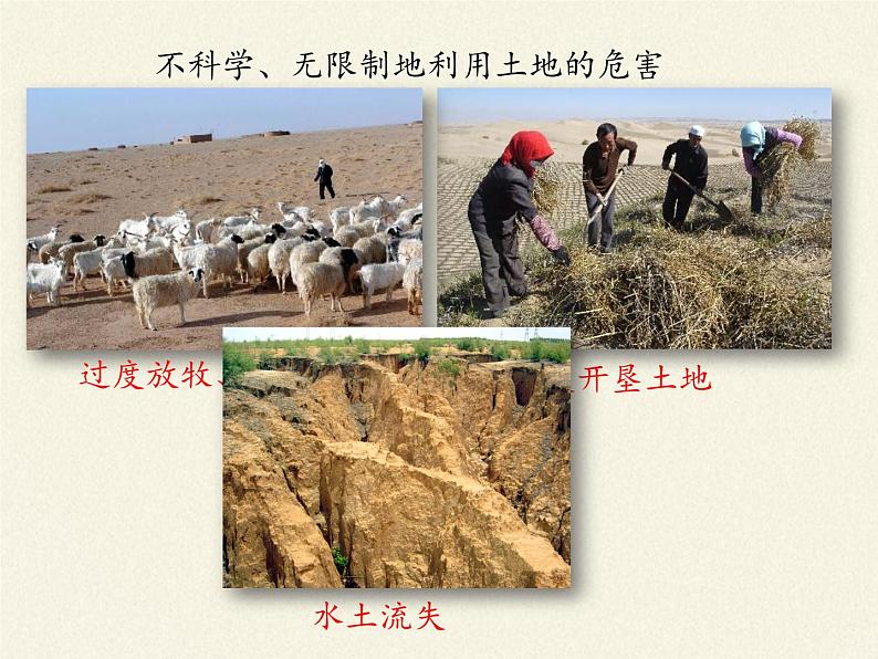北师大版生物七年级下册 第14章 第1节 人类活动对生物圈的影响(5)(课件)第8页