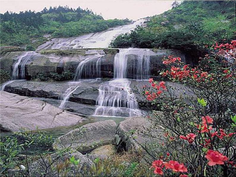 北师大版生物七年级下册 第14章 第1节 人类活动对生物圈的影响(15)(课件)05