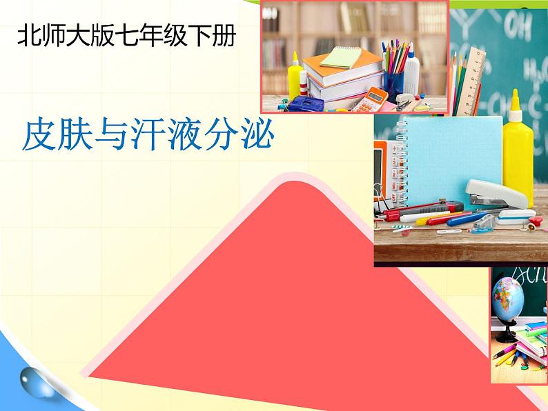 第11章 第1节 《皮肤与汗液分泌》课件第1页