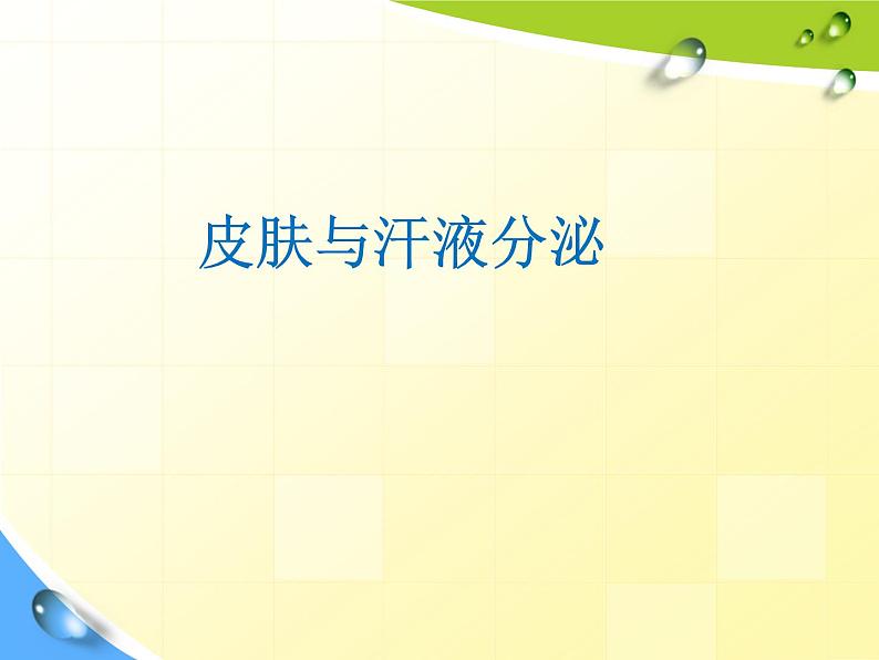 第11章 第1节 《皮肤与汗液分泌》课件第5页