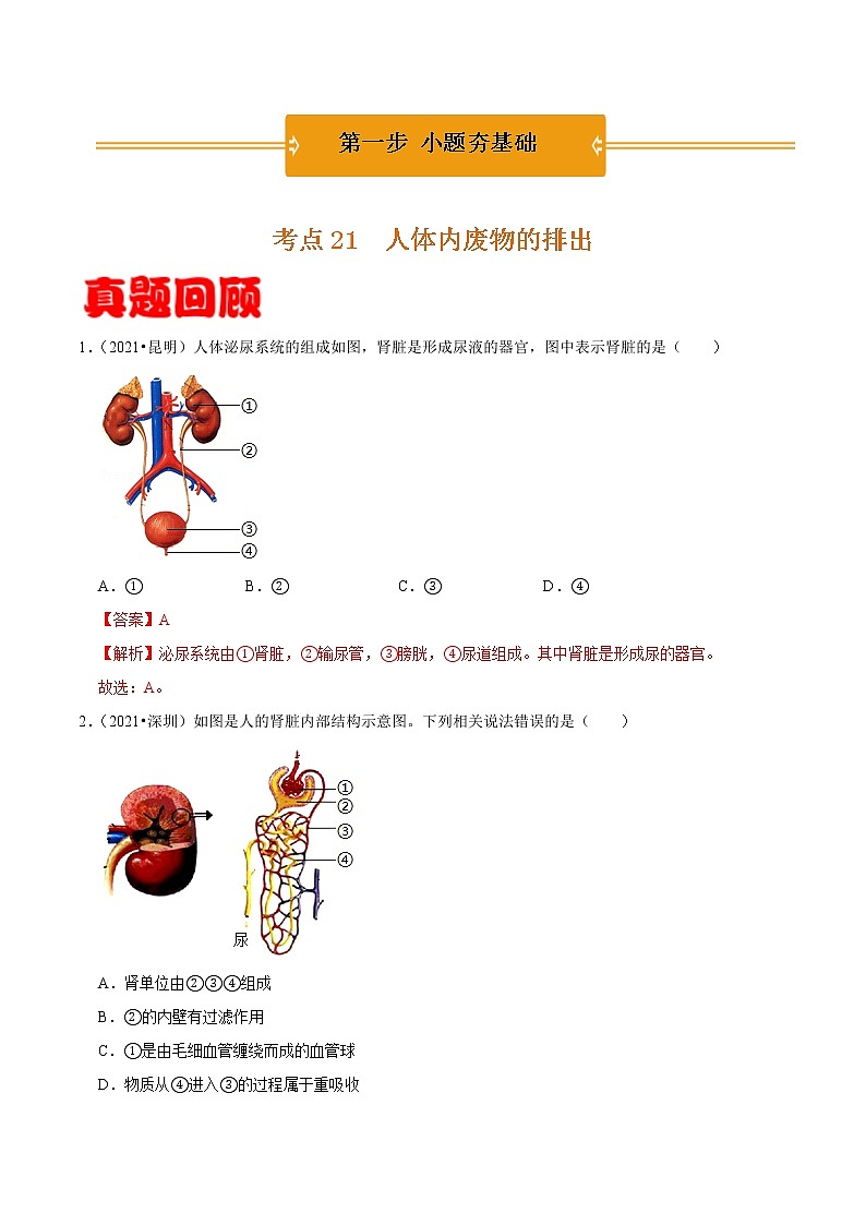 考点21 人体内废物的排出- 《三步冲刺中考 生物》之第1步小题夯基础第1页
