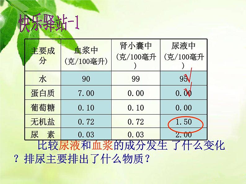 北师大版生物七年级下册 第11章 第2节 尿的形成和排出(课件)第7页