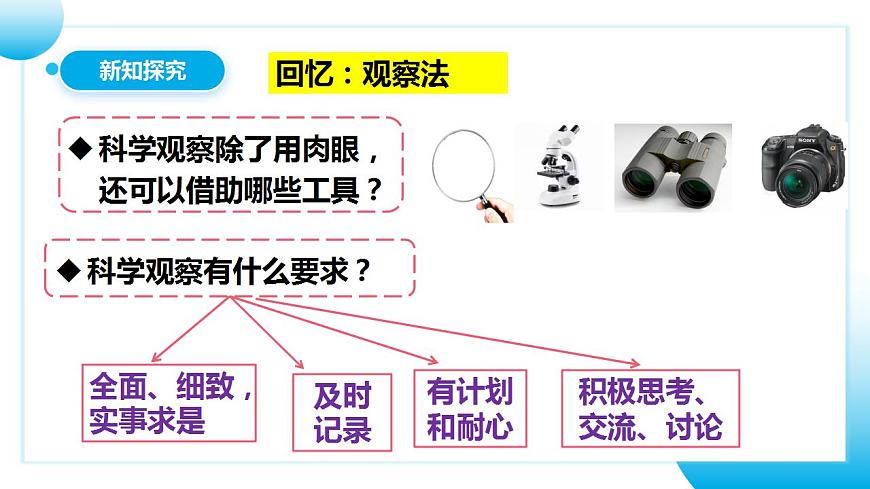 人教版初中生物七年級上冊1.1.2《調(diào)查周邊環(huán)境中的生物》課件第8頁
