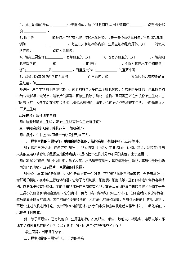 北师大版生物八年级下册 7.22.2 原生生物的主要类群(3) 教案02