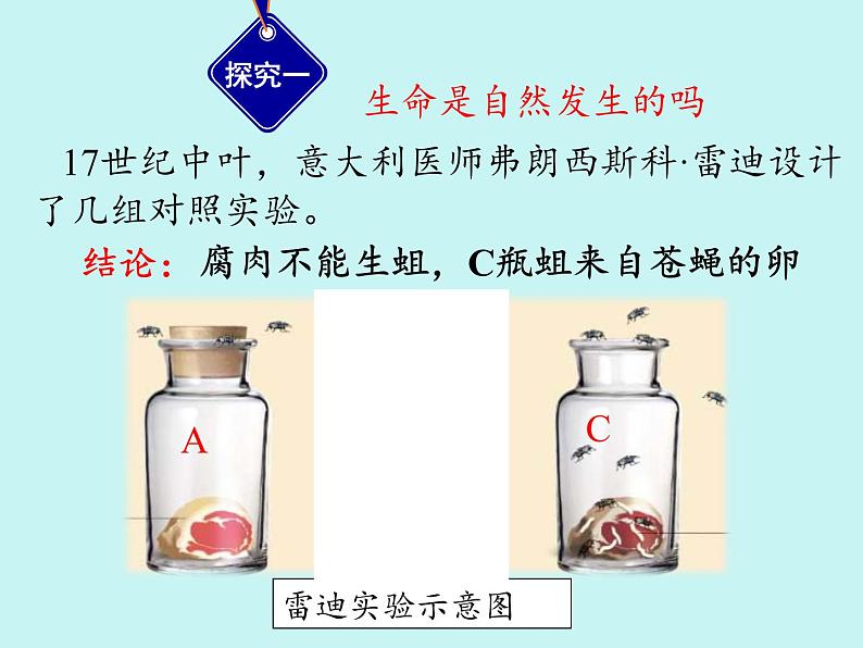 北师大版生物八年级下册 7.21.1 生命的起源 课件05