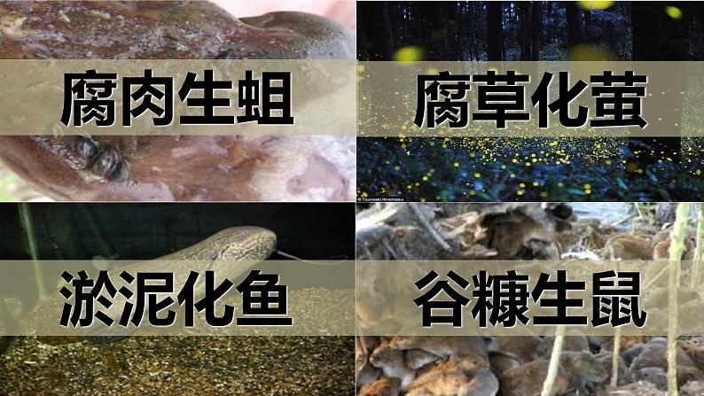 北师大版生物八年级下册 7.21.1 生命的起源 课件07