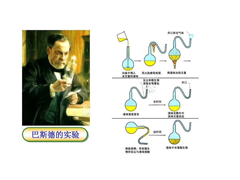 北师大版生物八年级下册 7.21.1 生命的起源_ 课件第8页