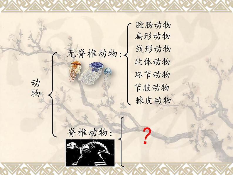 北师大版生物八年级下册 7.22.4 动物的主要类群(2) 课件第2页