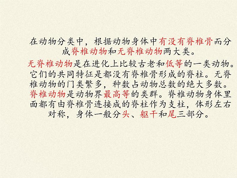 北师大版生物八年级下册 7.22.4 动物的主要类群(5) 课件第4页