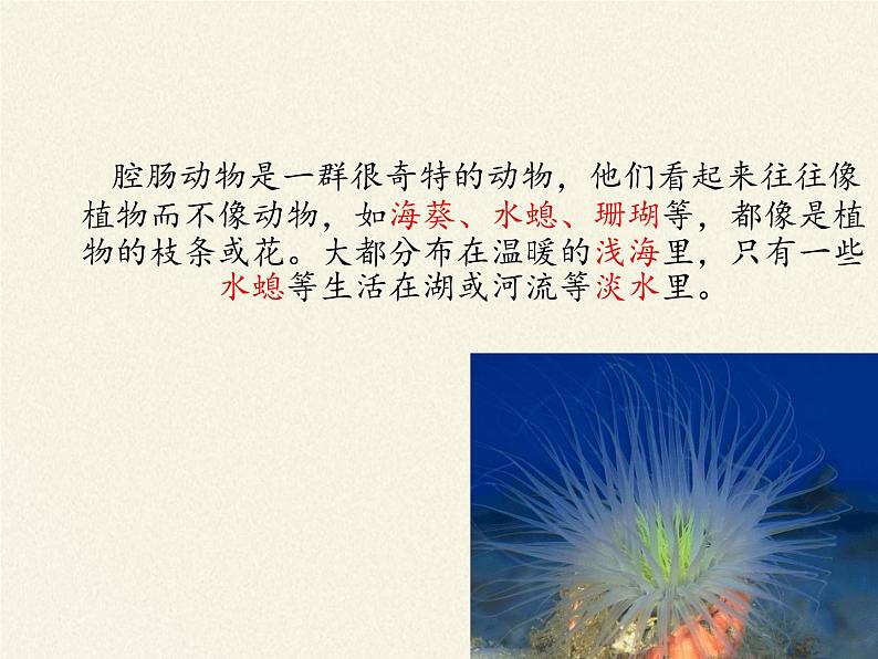 北师大版生物八年级下册 7.22.4 动物的主要类群(5) 课件第8页