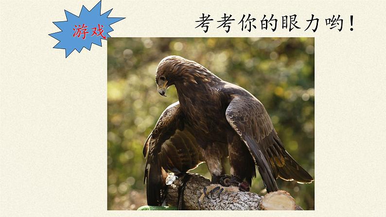 北师大版生物八年级下册 7.22.4 动物的主要类群(9) 课件第6页