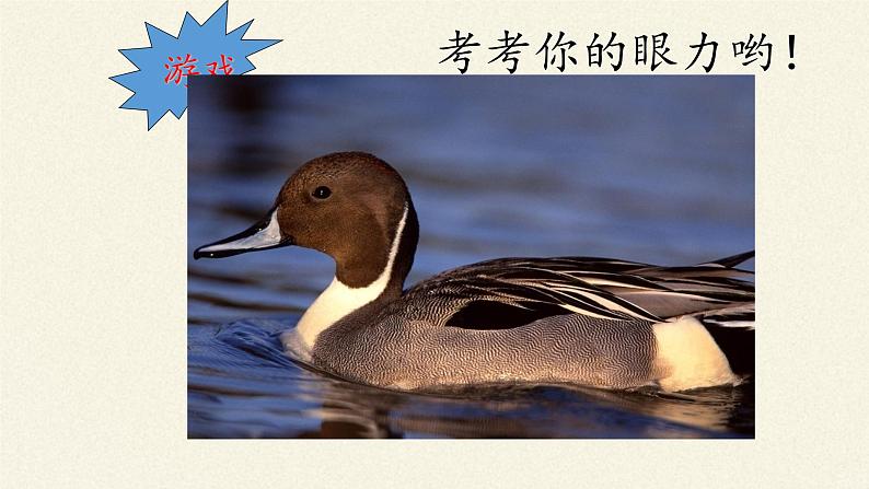 北师大版生物八年级下册 7.22.4 动物的主要类群(9) 课件第7页