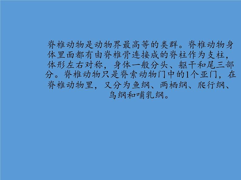 北师大版生物八年级下册 7.22.4 动物的主要类群(10) 课件第4页