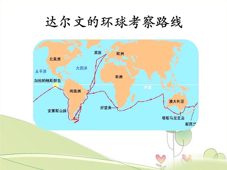 北师大版生物八年级下册 7.21.2 生物的进化(第3课时) 课件第4页