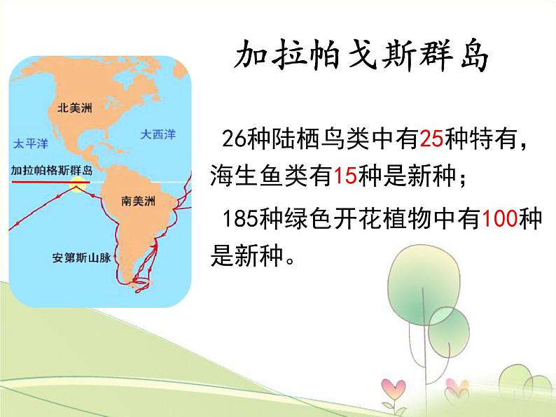 北师大版生物八年级下册 7.21.2 生物的进化(第3课时) 课件第5页